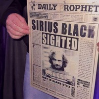Daily Newspaper 2